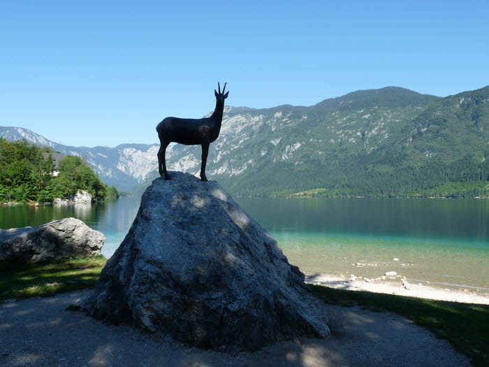 Bohinjsee_q0006