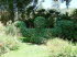 Giardino_Botanico_0015