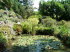 Giardino_Botanico_0017