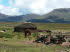 Lesotho 010007