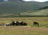 Lesotho 010012