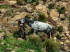 Lesotho 010021
