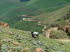 Lesotho 020009