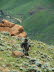 Lesotho 030009