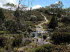 Tasmanien 20012