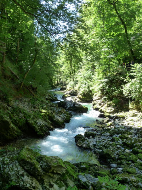 Vintarschlucht_h0017