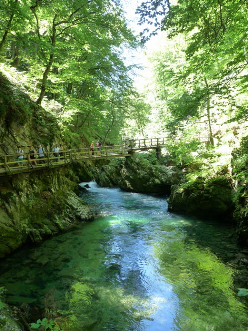 Vintarschlucht_h0018