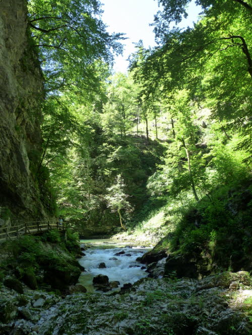 Vintarschlucht_h0019