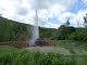 AndernachGeysir_0011