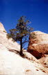 Arches NP 4