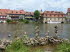 Bamberg_0003