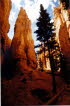 Bryce Canyon NP 1