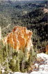 Bryce Canyon NP 3