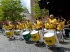 Coburg_Samba_0059