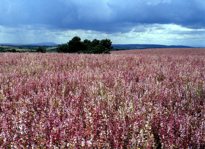 Frankreich 20027