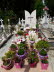 Hauptfriedhof_0006