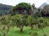 Jardin_Alfabia_0026