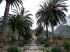 Jardin_Alfabia_0029