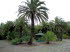 Jardin_Botanico_0016