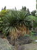 Jardin_Botanico_0070