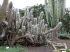 Jardin_Botanico_0079