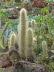 Jardin_Botanico_0086