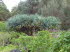 Jardin_Botanico_0104