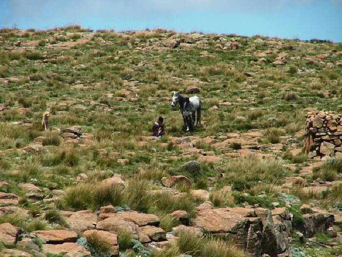 Lesotho 020008