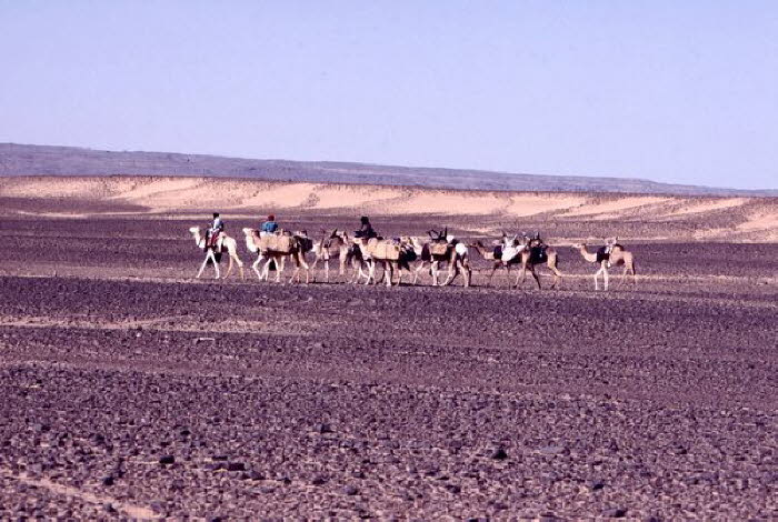 Libyen 1a0028