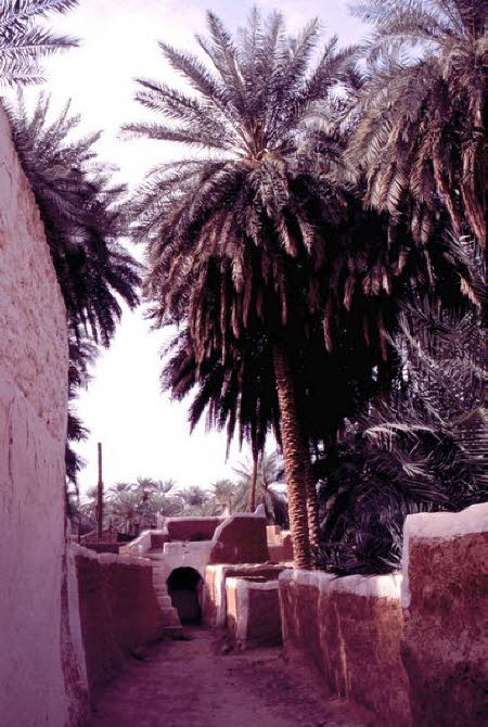 Libyen 2a0016