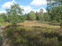 Lneburger Heide 20003