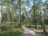 Lneburger Heide 20005