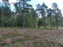 Lneburger Heide 20019