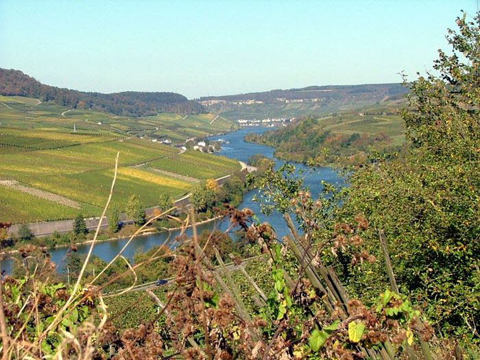 Mosel 10018