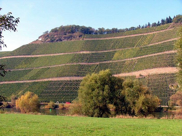 Mosel 20005