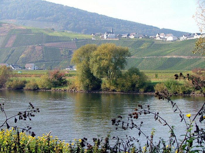 Mosel 30018