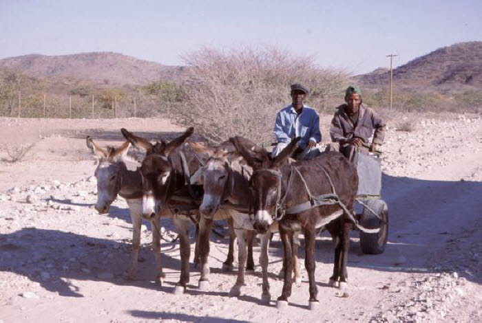 Namibia 10002