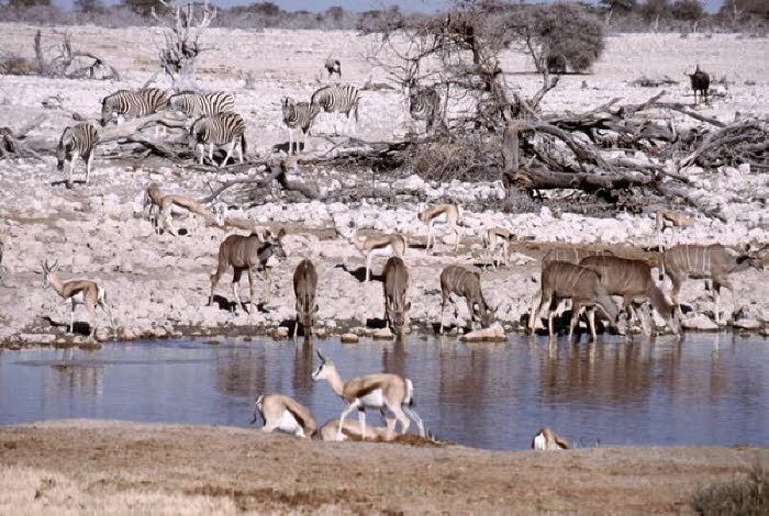 Namibia 10014