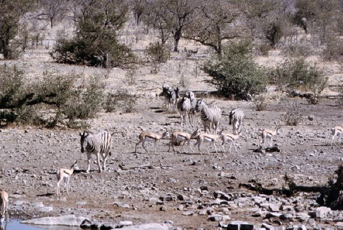 Namibia 10028