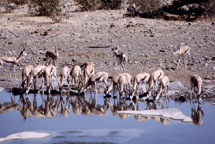 Namibia 20005