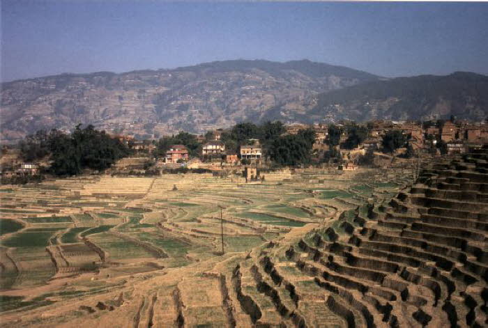 Nepal 010001