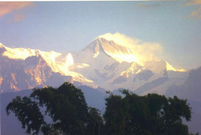 Nepal 010004