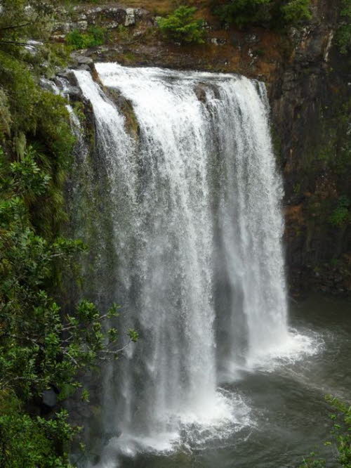 Neuseeland Nordinsel 100024