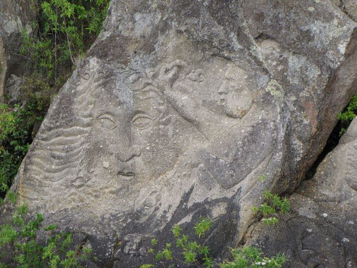 Neuseeland Nordinsel 10008