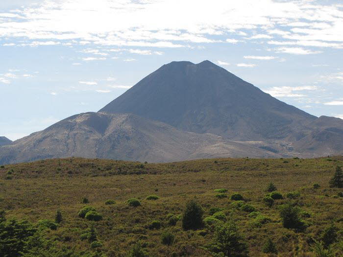 Neuseeland Nordinsel 90005