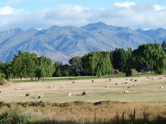 Neuseeland Suedinsel 150009