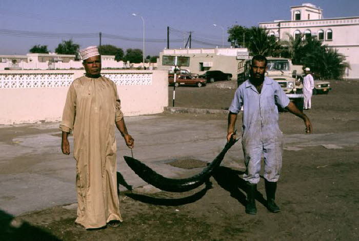 Oman 20002