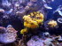 Palma_Aquarium_0049