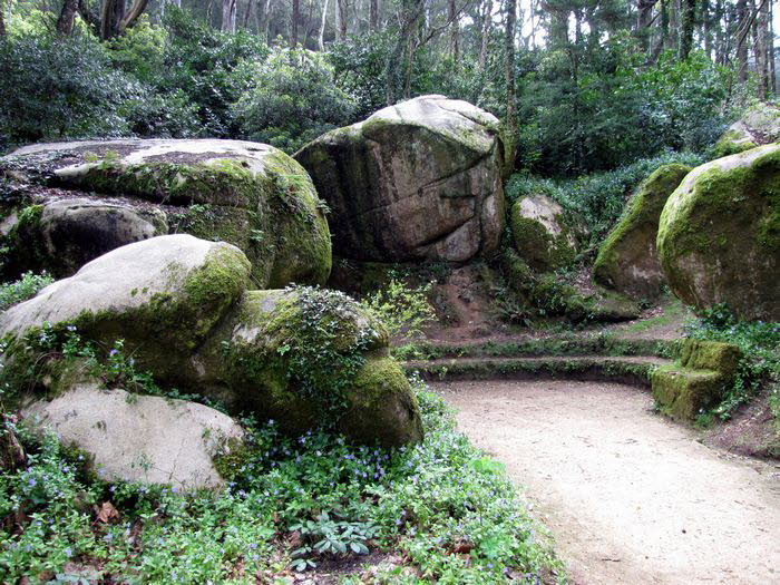 Park_Pena_Palace_0001