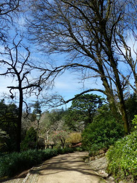 Park_Pena_Palace_0021